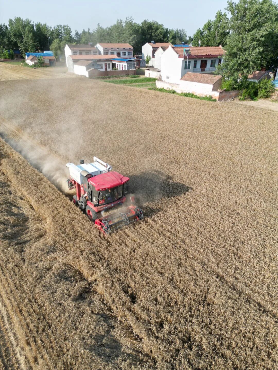 30年只做一件事:為什么越來越多農(nóng)機(jī)手認(rèn)準(zhǔn)「中聯(lián)收獲」?(圖6)